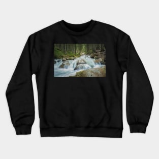 a creek in the forest Crewneck Sweatshirt